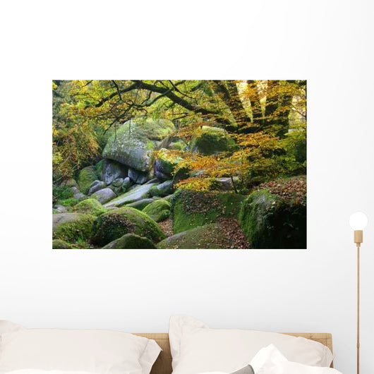 Fall Wall Decal