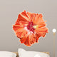 Orange hibiscus simple corrugated Wall Decal