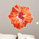 Orange hibiscus simple corrugated Wall Decal