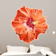 Orange hibiscus simple corrugated Wall Decal