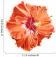 Orange hibiscus simple corrugated Wall Decal