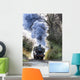Steam Train Wall Mural