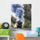 Steam Train Wall Mural