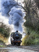 Steam Train Wall Mural