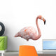 flamingo portrait 