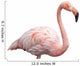 flamingo portrait 