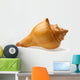 seashell Wall Decal