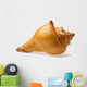 seashell Wall Decal