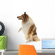 Rough Collie Wall Decal