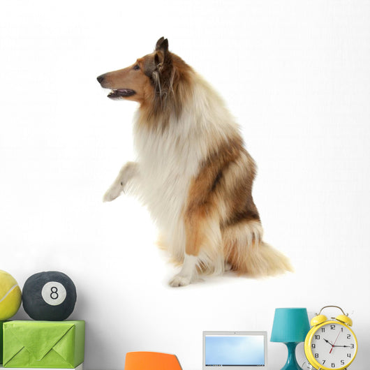 Rough Collie Wall Decal