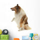Rough Collie Wall Decal