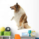 Rough Collie Wall Decal
