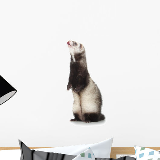 Young Ferret Wall Decal