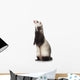 Young Ferret Wall Decal