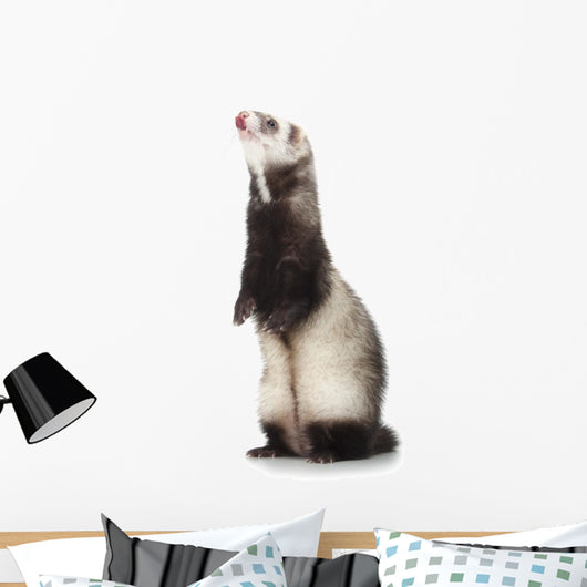 Young Ferret Wall Decal
