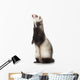 Young Ferret Wall Decal