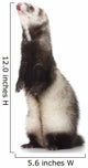 Young Ferret Wall Decal