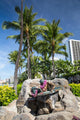 Hawaii Oahu Waikiki Wall Decal
