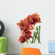 A beautiful fresh orchid Wall Mural