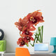 A beautiful fresh orchid Wall Mural