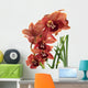 A beautiful fresh orchid Wall Mural