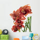 A beautiful fresh orchid Wall Mural