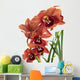 A beautiful fresh orchid Wall Mural