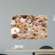 Seashell background 