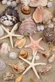 Seashell background 