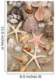 Seashell background 