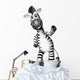 A smiling zebra standing 