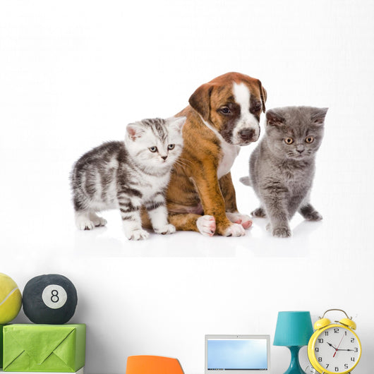 Cats and Dog Wall Decal