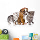 Cats and Dog Wall Decal