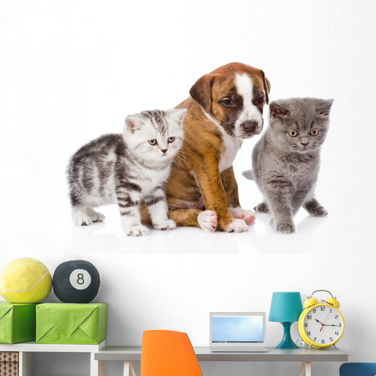 Cats and Dog Wall Decal