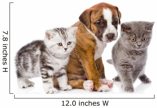 Cats and Dog Wall Decal