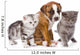 Cats and Dog Wall Decal