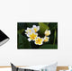 Frangipani Tropical Flowers From Deciduous Tree Plumeria Wall Mural