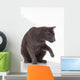 Russian Blue Cat (felidae) Wall Decal
