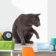 Russian Blue Cat (felidae) Wall Decal