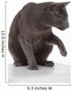 Russian Blue Cat (felidae) Wall Decal