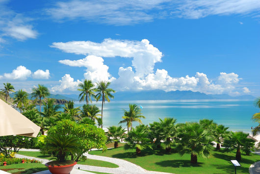 Beach Scene Tropics Pacific Ocean Wall Mural