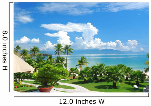 Beach Scene Tropics Pacific Ocean Wall Mural