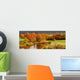 Autumn coloured trees Wall Mural