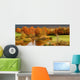 Autumn coloured trees Wall Mural
