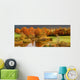 Autumn coloured trees Wall Mural