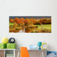 Autumn coloured trees Wall Mural