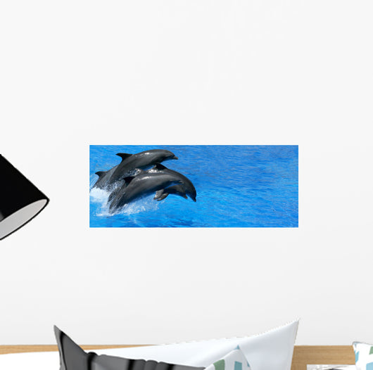 Dolphin Wall Mural