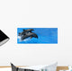 Dolphin Wall Mural