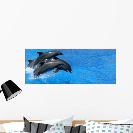 Dolphin Wall Mural