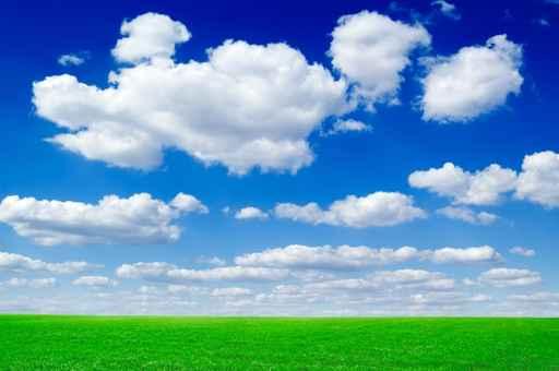 Green Field and Clouds Wall Decal
